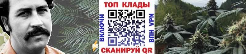 Купить наркотики сайты Шарья Канабис гидра зеркало АМФ Гашиш Cocaine СК МЕФ